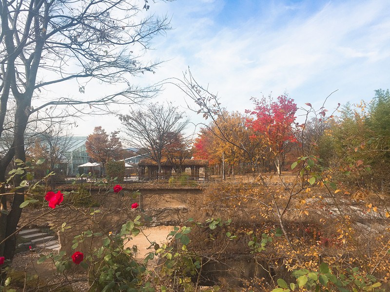 首爾林(서울숲)
地址::서울특별시 성동구 뚝섬로 273 (273, Ttukseom-ro, Seongdong-gu, Seoul, Republic of Korea)
休息日:全年無休(部分體驗項目星期一公休)