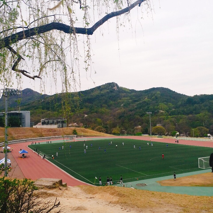 在샤로수길(sha-ro-su-gil)吃飽喝足後,還可以去附近的冠岳山散步爬山,或是去韓國的最高學府首爾大學逛逛~來到首爾的話記得把샤로수길(sha-ro-su-gil)加到行程裡哦!