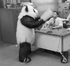 2. 討厭被拘束:不管是誰都不喜歡被拘束的感覺,尤其B型真的超級世界無敵(?)討厭被拘束!如果對他們的愛變成一種執著的話,B型非但不會有被愛的感覺,反而會覺得你很煩、管太多TT
