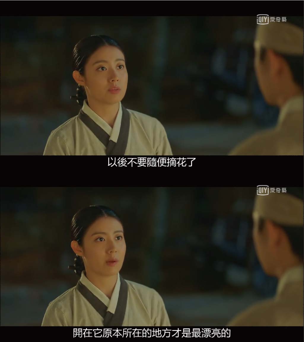 #「以後不要隨便摘花了,開在它原本所在的地方才是最漂亮的」
雖然看似是在講花朵,但也立馬讓人聯想到女主角洪心的處境,被迫隱藏身分的她,處境可是跟被摘下的花朵般,是多麼的無奈啊~