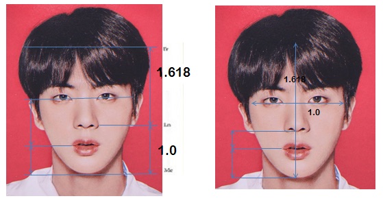 不過不要忘記,防彈少年團裡還有一個 worldwide handsome 大哥Jin阿ㅋㅋㅋ而Jin更是被美國的整型外科醫師選為「最完美臉蛋」,在269名有名的亞洲男性中脫穎而出,Jin擁有如此完美的比例,也難怪常常說自己帥也不害羞啊XD