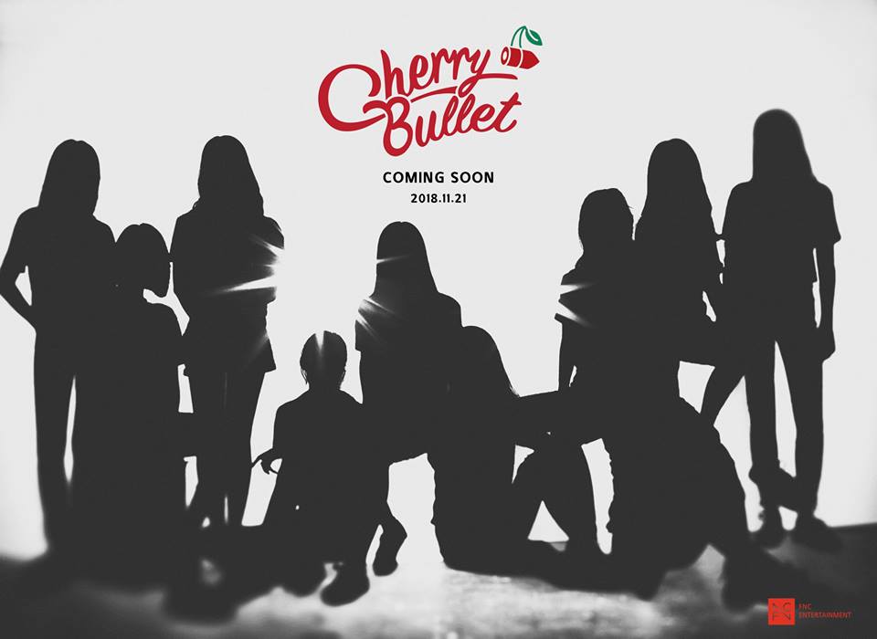 FNC娛樂表示:「Cherry Bullet 將以明年上半年出道為目標,且將於本月28日開始,每周三在透過Mnet放送出道實境節目秀!」