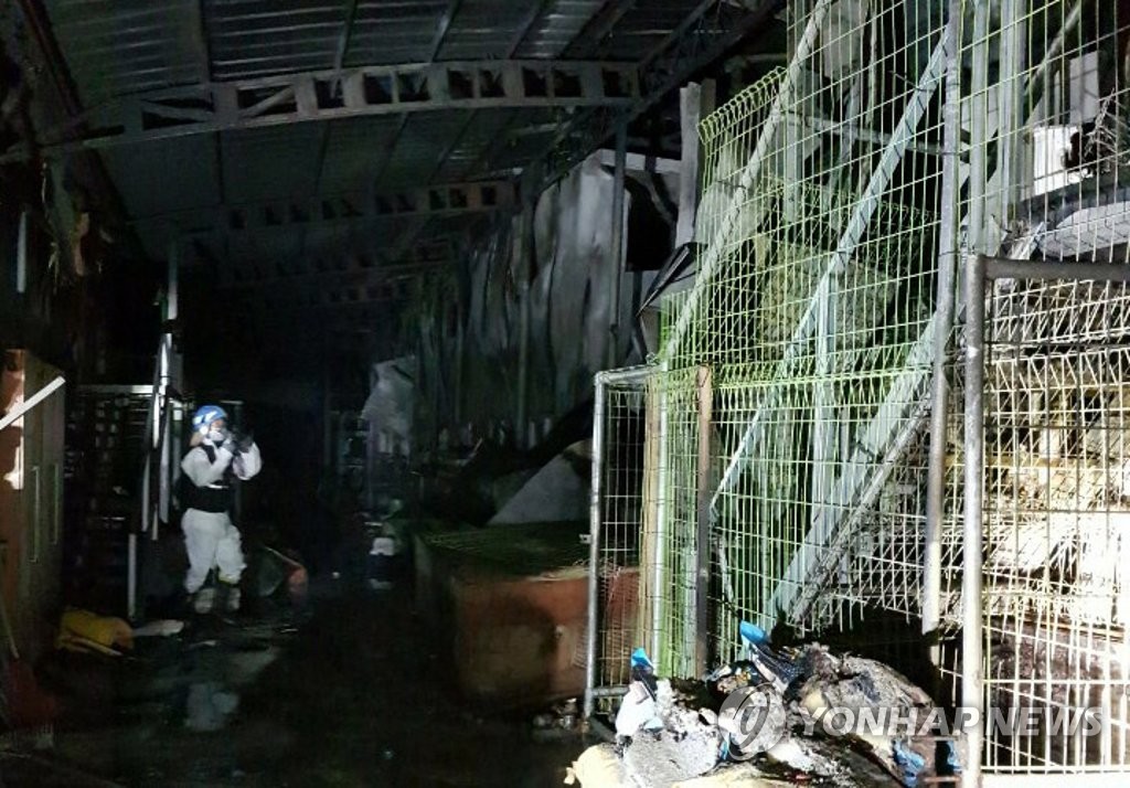 收容所380平方公尺中,約190平方公尺與空調、飼料等器物被燒毀。消防署估算約2600萬韓元財產損毀,沒有人受到波及,僅救災的田氏(33歲)消防員被咬傷右腳背,目前已受到治療。