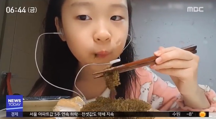 現在的小學生能輕易接觸並享受Youtube的影片,加上近幾年Youtuber越來越多,因此有了這種現象。最近小學生Youtuber如Diae(띠예)和Gannini(간니닌니)等人氣都非常高。(Diae的追蹤人數足足有38萬多,影片最高觀看次數甚至高達487萬!)