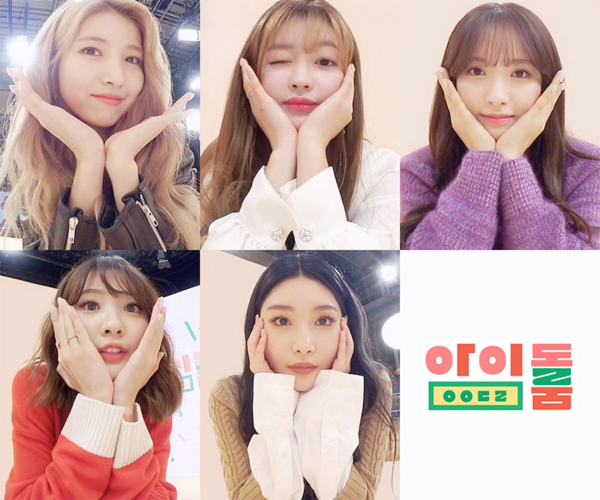 8日,《Idol Room》播出「2019年黃金屬豬女團特輯」,特別邀請到GFRIEND所願、Oh My Girl YooA、宇宙少女苞娜、臉紅的思春期安智煐以及請夏擔任出演嘉賓。究竟這群「同歲朋友」之間會發生什麼逗趣的事情呢?