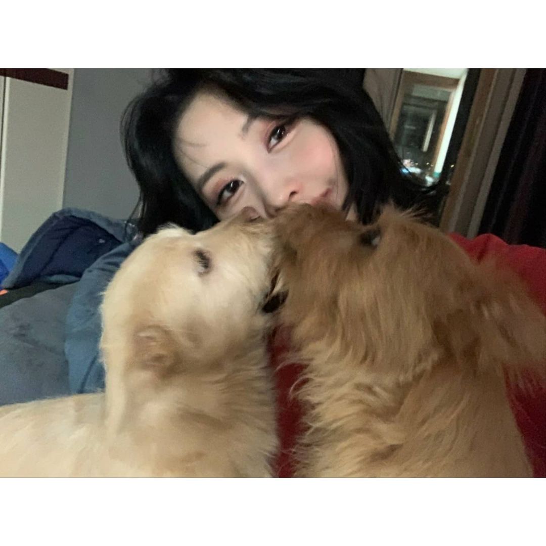 Momo 愛心領養流浪犬 全家福合照超吸睛 炫耀 Boo 有弟弟了 Wishnote 所有美好如你所願