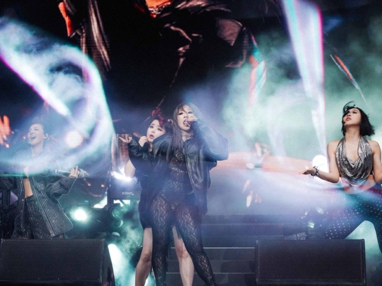 18日,前2NE1的隊長CL率先在Instagram上留下了對於完整體舞臺的感想。對此,Dara也緊隨著在19日發表了自己的感想,一度讓「Black Jack」們(2NE1粉絲名)們熱淚盈眶。