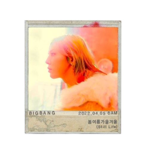 留言中不斷有人稱讚說:「能感受到真正熱愛Bigbang的心」、「不分國家,這是了不起的翻唱」、「Rap也都用韓語翻唱了,嚇了一跳」等。